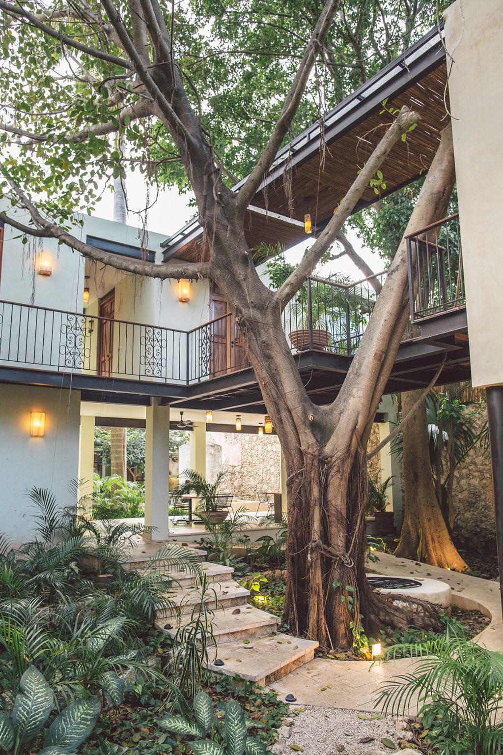 Interior of hotel showing two different floors and a large tree