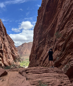 Salta canyon copy