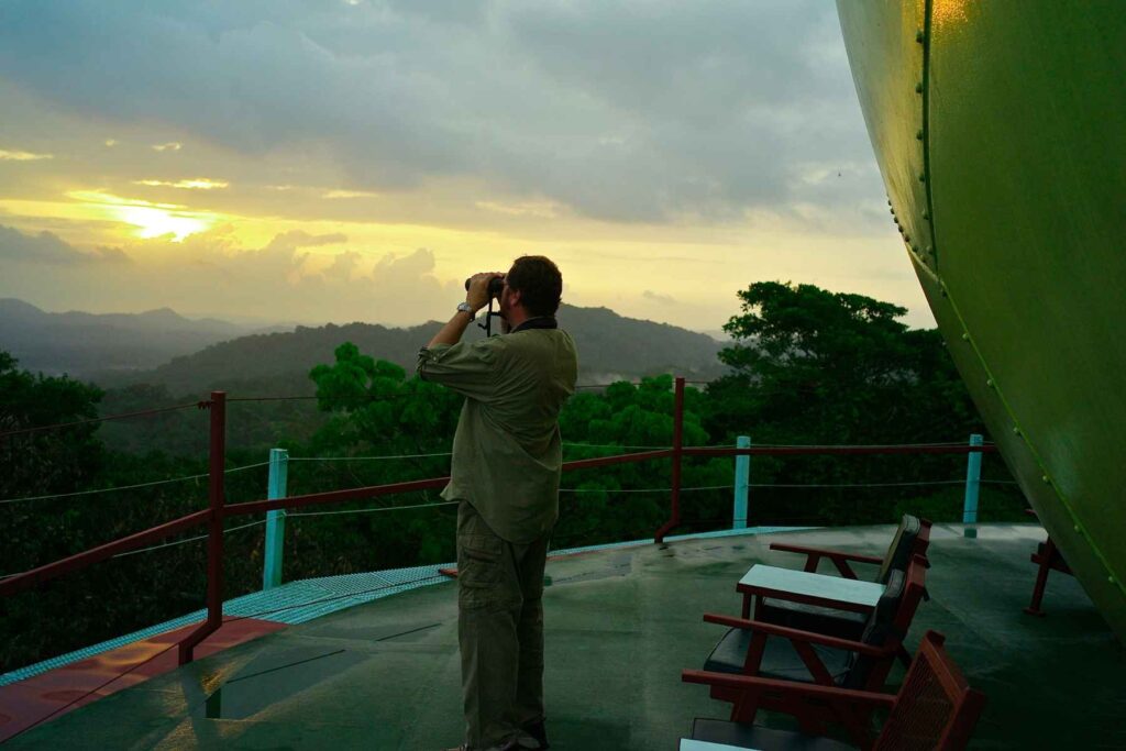 Canopy tower bird watching