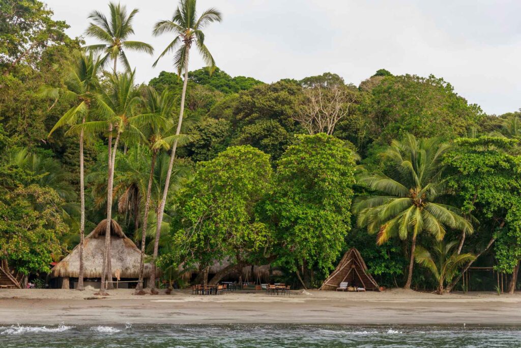 Isla Palenque beach area