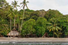 Isla Palenque beach area