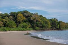 Isla Palenque beach