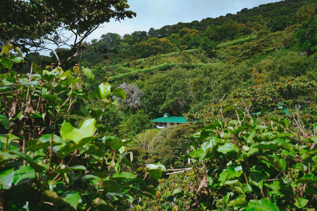 Finca Lerida Hotel surrounding scenery