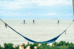 Stand up paddleboarders just off the beach at Turtle Inn