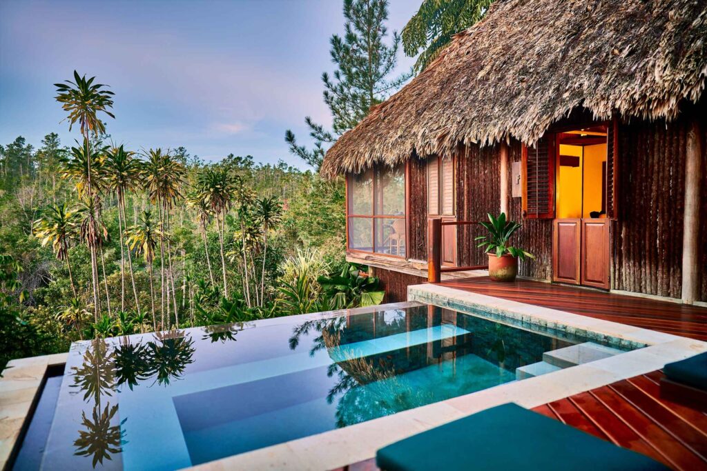 An infinity pool and thatched lodge with an outlook onto the forest