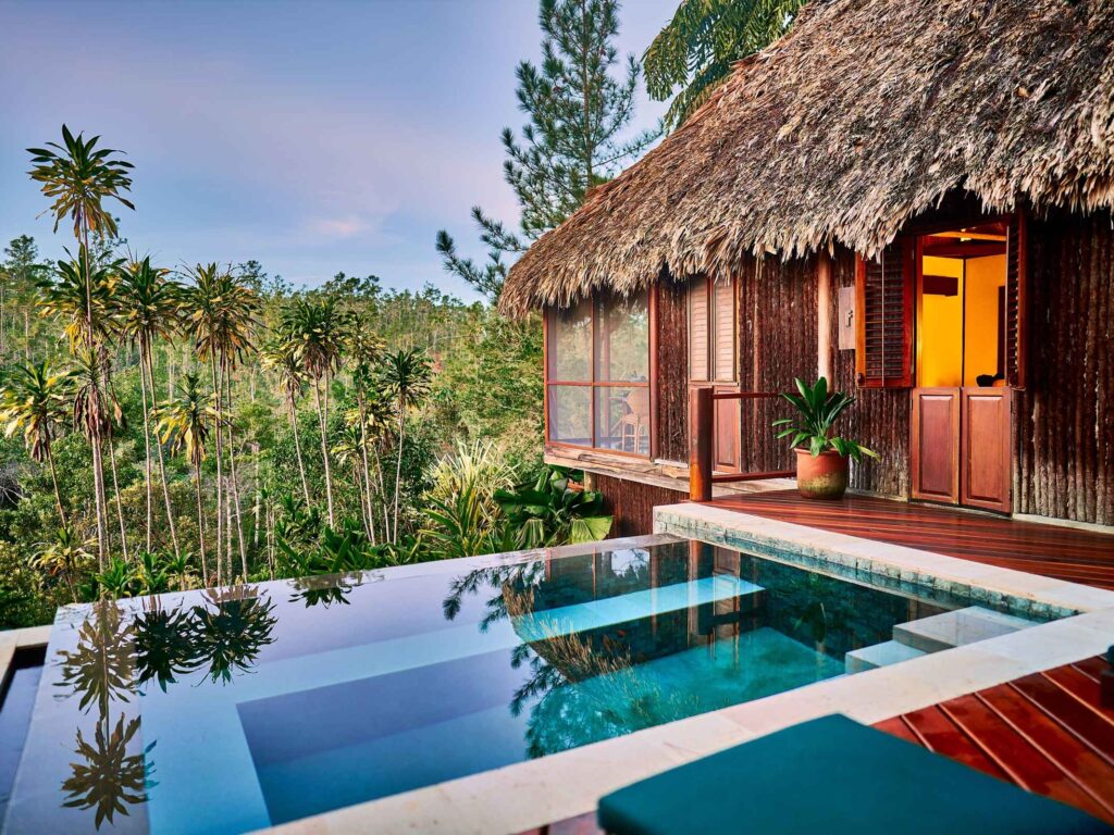 An infinity pool and thatched lodge with an outlook onto the forest