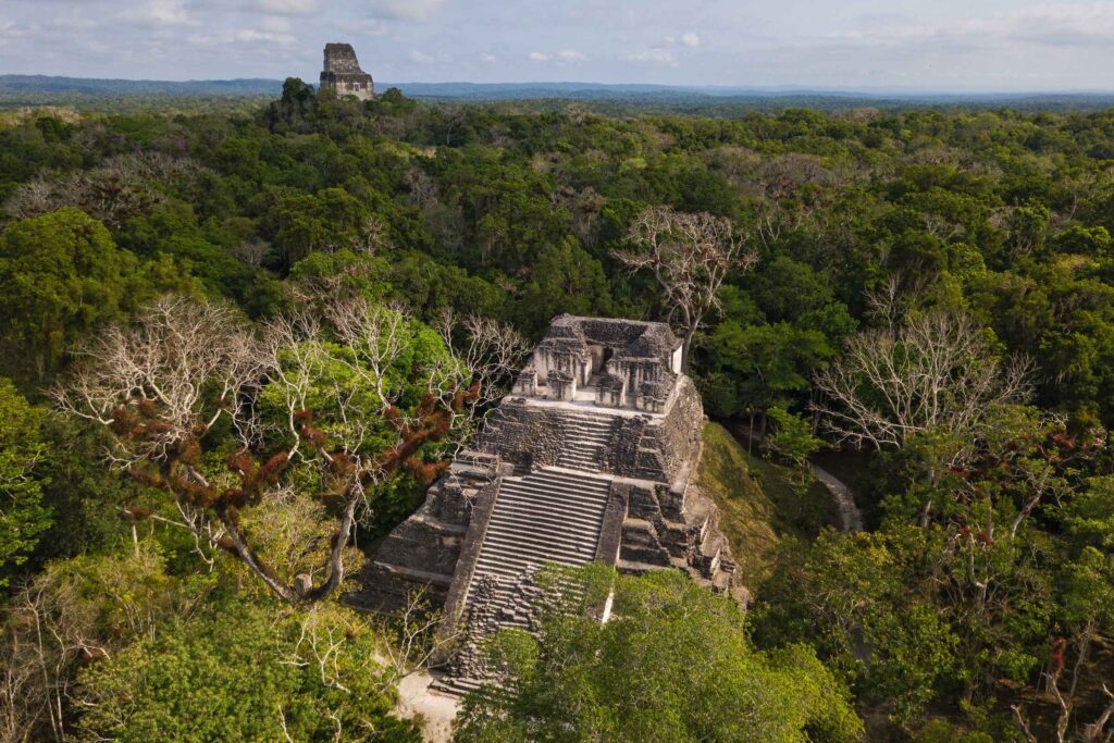 Aerial photo of Tikal in the jungle