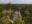 Guatemala_Tikal_La Lancha (5)_2_11zon Aerial photo of Tikal in the jungle