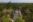 Guatemala_Tikal_La Lancha (5)_2_11zon Aerial photo of Tikal in the jungle