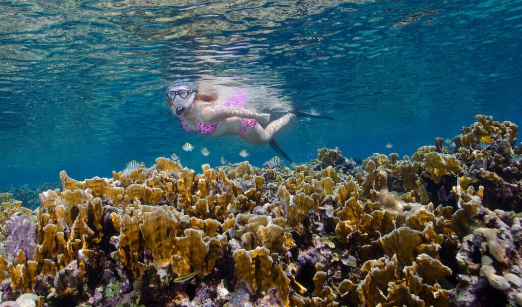 Snorkelling at Hamanasi Adventure & Dive Resort