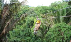 Ziplining at Hamanasi Adventure & Dive Resort
