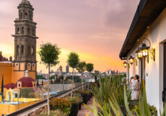 Mexico_Puebla_Banyan Tree (6)