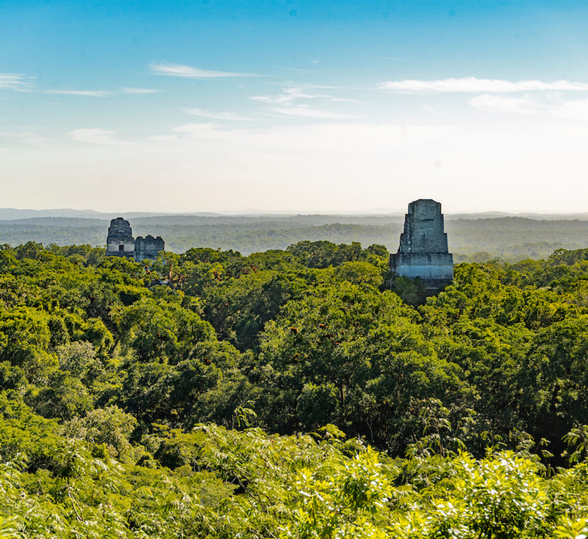 Tikal, Guatemala