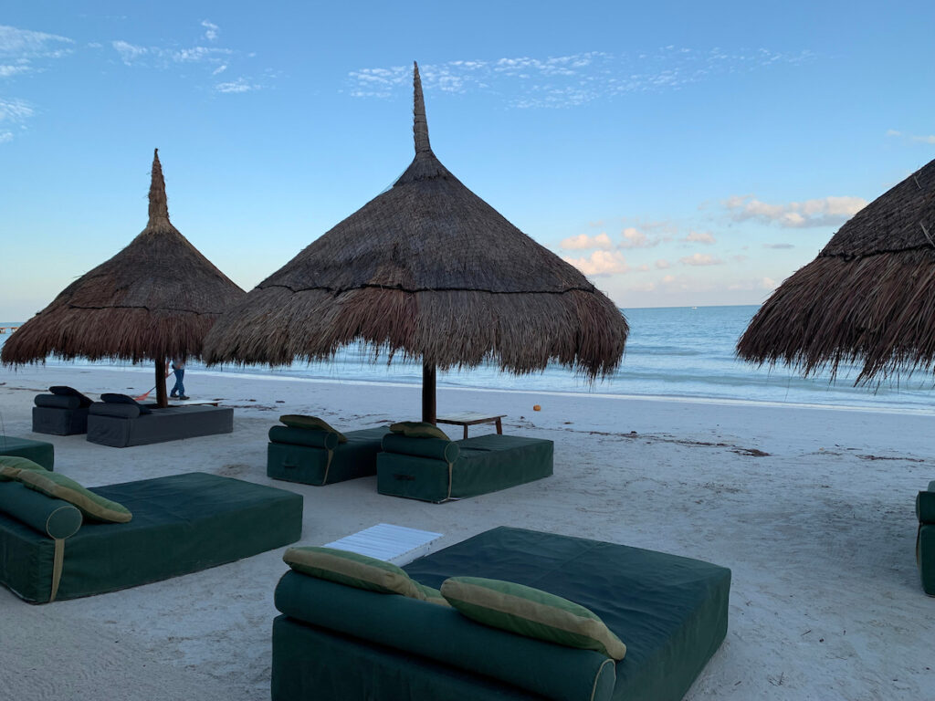 Photo 06-12-2024, 07 46 18