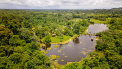 Layout of lodges at Maquenque Lodge