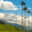 Cocora Valley, Colombia