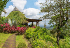 Origins Luxury Lodge