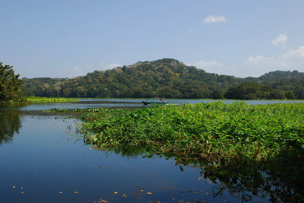 Lake Gatun, Panama Canal