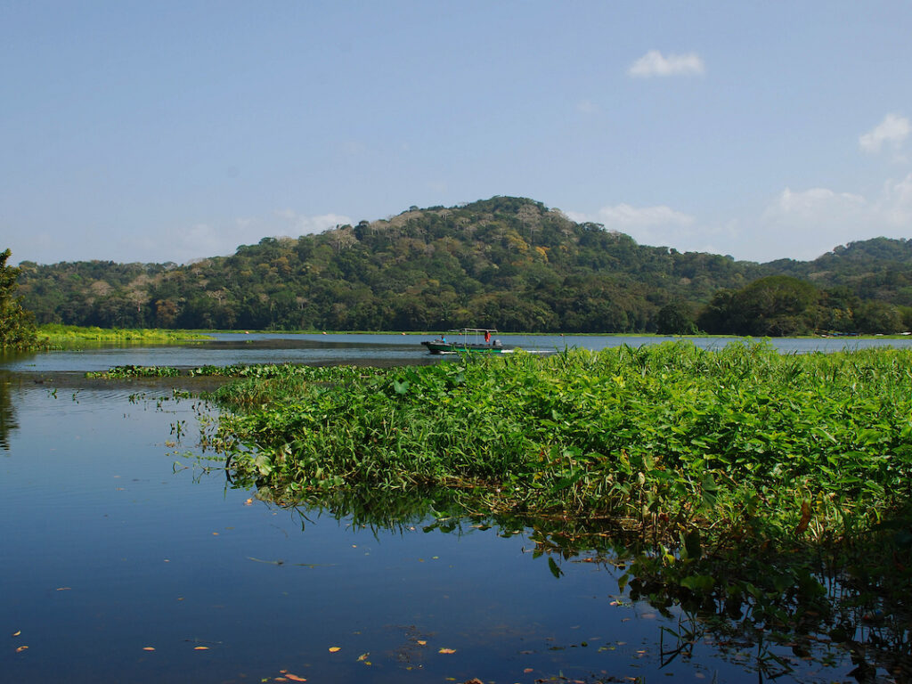 Lake Gatun, Panama Canal