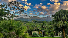 Volcanic landscape around Tenorio Lodge