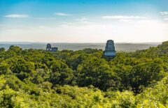 Tikal, Guatemala