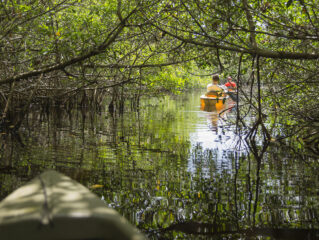 Kayaking in Tortuguero, Costa Rica
