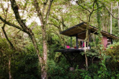 Bio Habitat Hotel