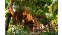 La Cocotera in El Salvador