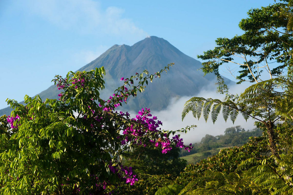 iStock © Arenal