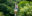 Ziplining on a family holiday in Costa Rica