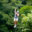 Ziplining on a family holiday in Costa Rica