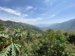 Ecuador – Mindo – Yunguilla Community Project – View