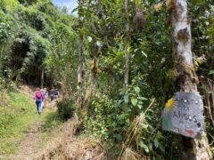 Ecuador – Mindo – Yunguilla Community Project – trail