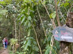 Ecuador – Mindo – Yunguilla Community Project – trails