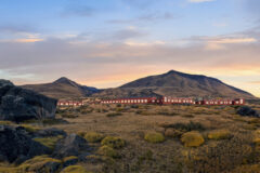 Explora El Calafate
