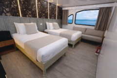 Ecuador – Galapagos – Accommodation – EcoGalaxy -cabina-twin_3