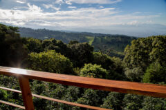 Recividor Suite view