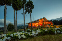 Restaurant Building – Dusk