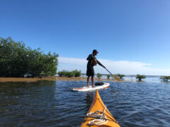 Paddle boarding