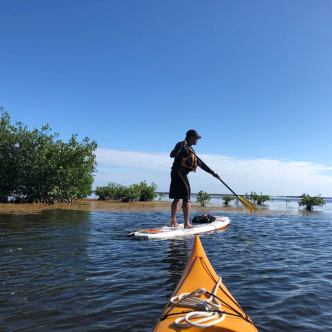 Paddle boarding