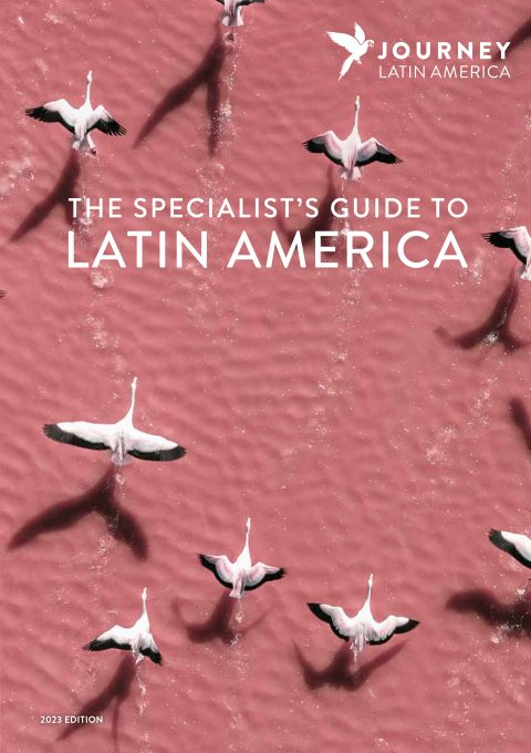 Specialist Guide 2023