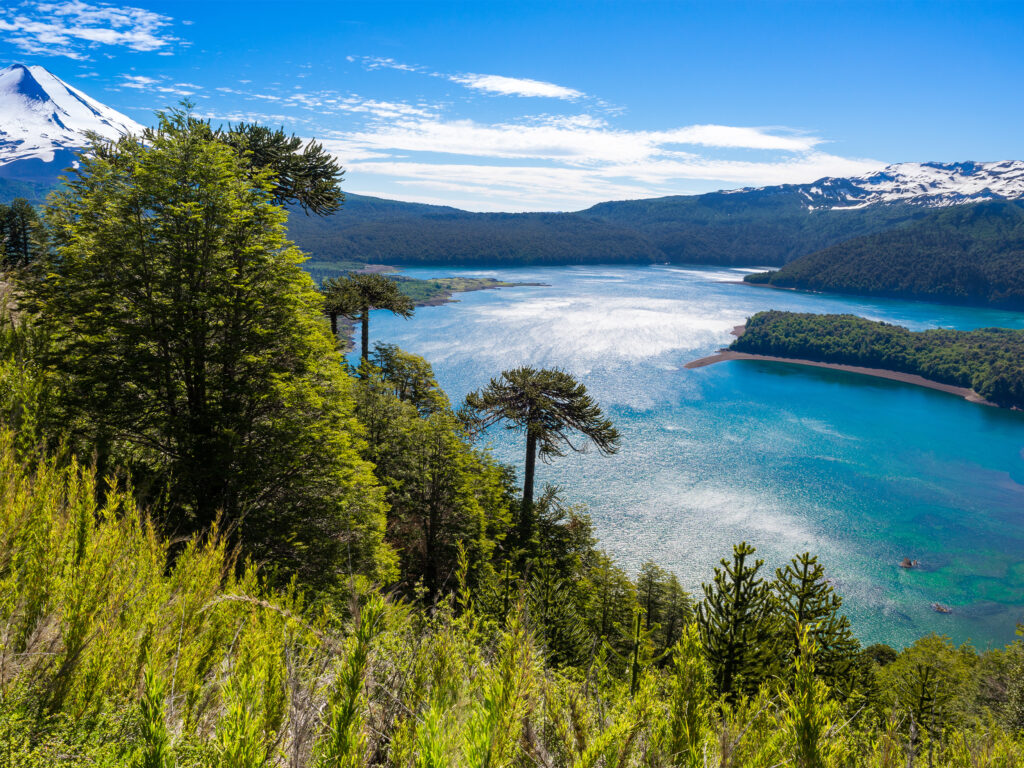 Lake in Conguillio National Park