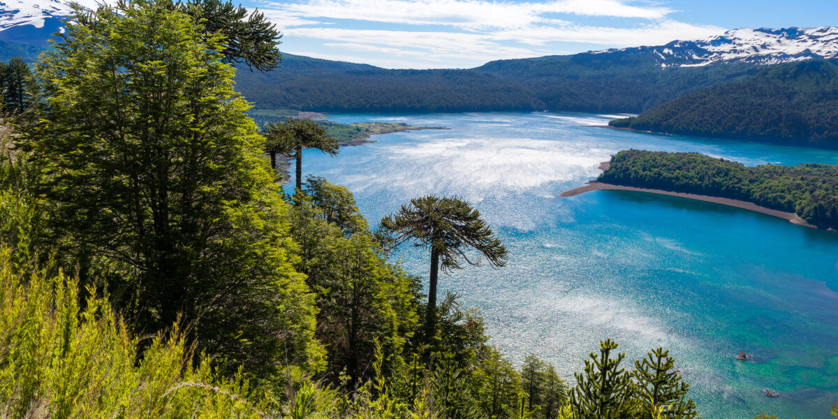 Lake in Conguillio National Park