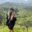 Samaria Valley, coffee region, Colombia