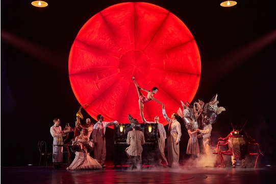 CirqueDeSoleil_Luzia (2)