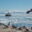 ANT_BoatFromNekoHarbourBeach_KeithTurner_freewithcredit Boat in the ocean taken from Neko Habour beach