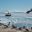 Antarctica