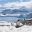 Antarctica Penguins