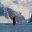 Whales Antarctica