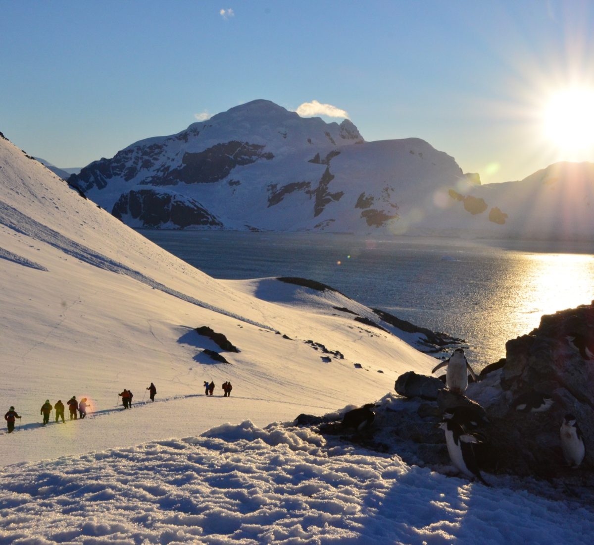 Antarctica